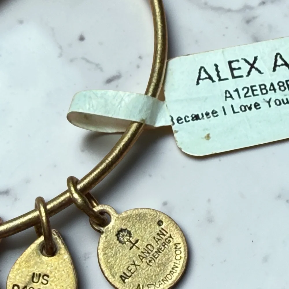 Alex and Ani “Because I Love‎ You Sister” Rafaelian Gold Expandable Charm Bangle